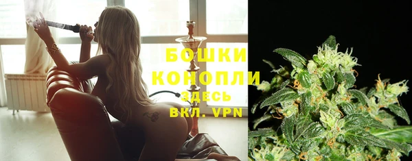 дживик Волосово