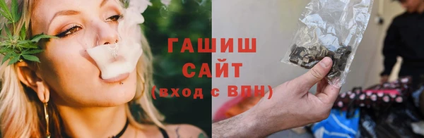 стаф Волоколамск