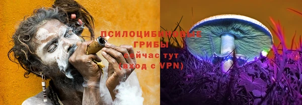 стаф Волоколамск