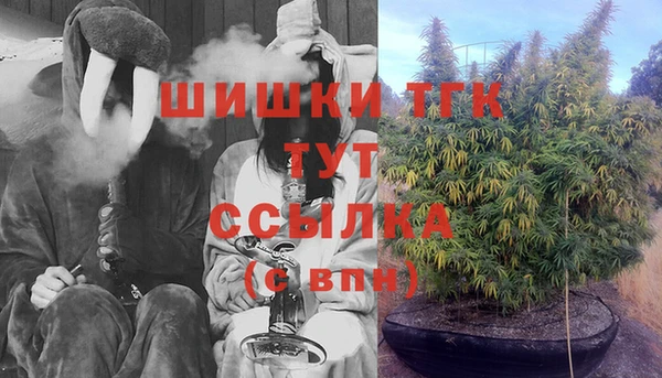 стаф Волоколамск