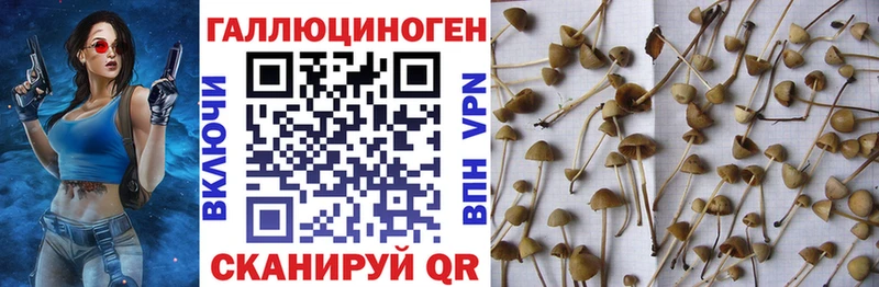 Псилоцибиновые грибы прущие грибы  нарко площадка клад  Кандалакша 
